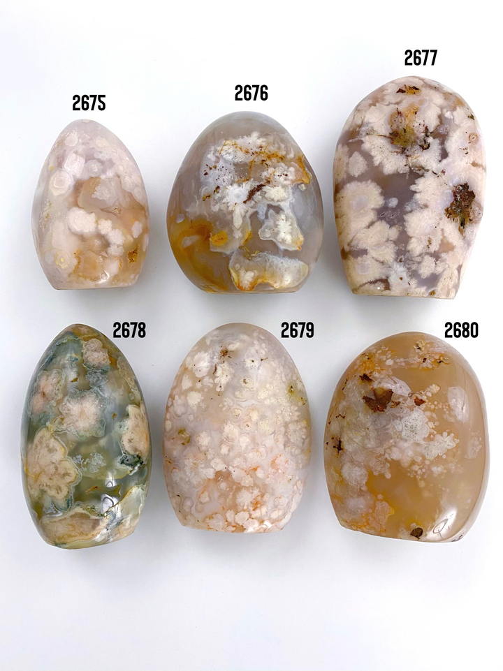 Flower Agate Free Form - Uncommon Rocks