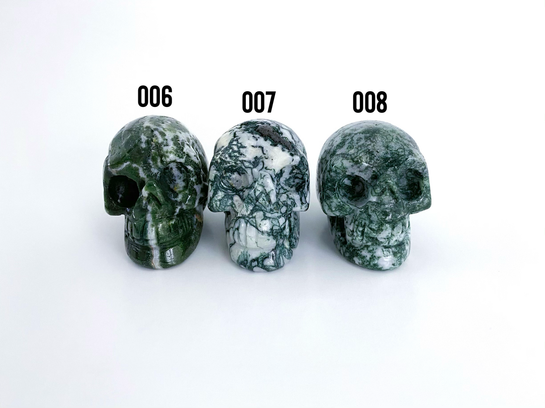 Tree Agate Carved Skulls - Uncommon Rocks