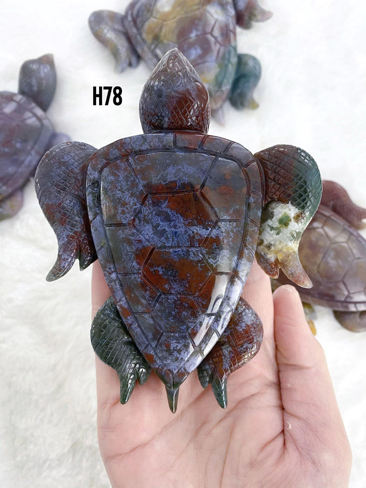 Ocean Jasper Tortoise - Uncommon Rocks