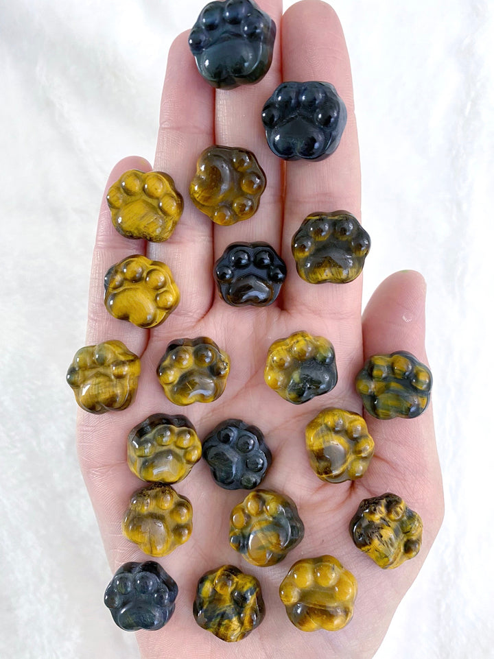 Tiger Eye Paws