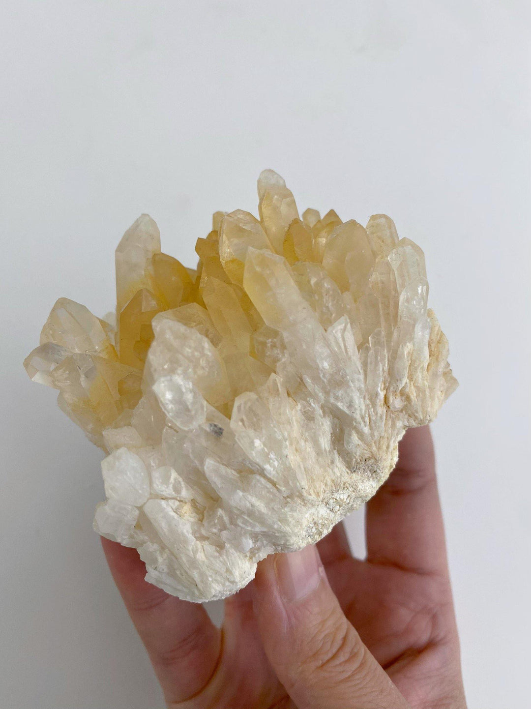 Clear Quartz Cluster - Uncommon Rocks