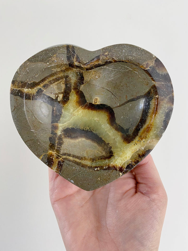 Septarium bowl