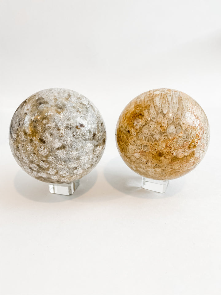 Coral Fossil Jasper Spheres