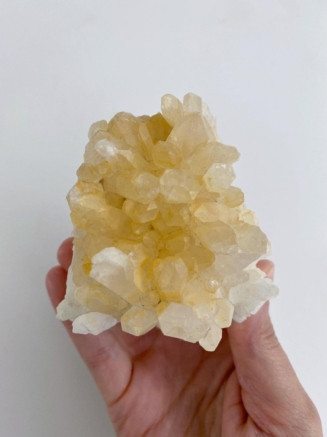Clear Quartz Cluster - Uncommon Rocks