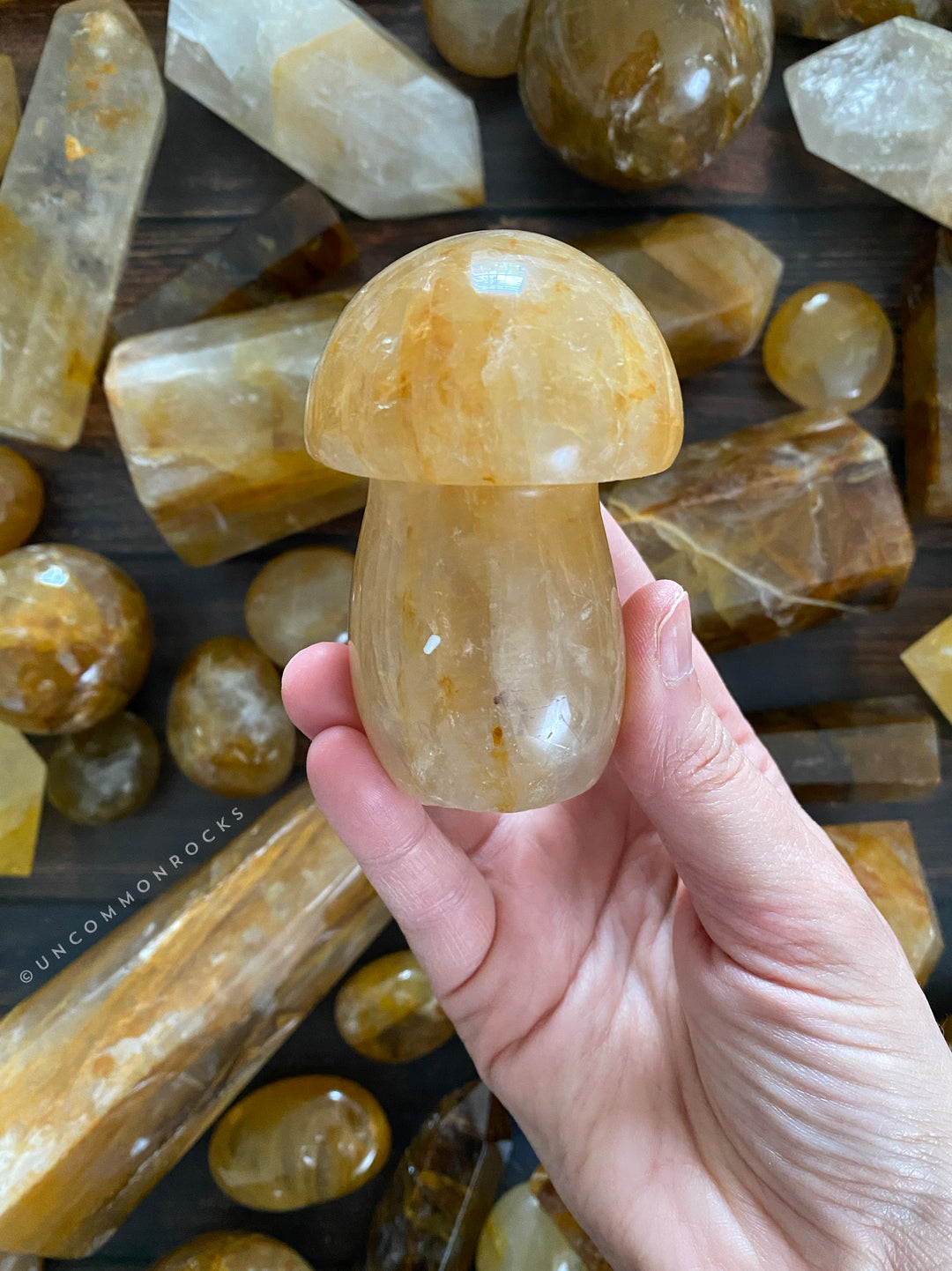 Golden Healer Mushroom