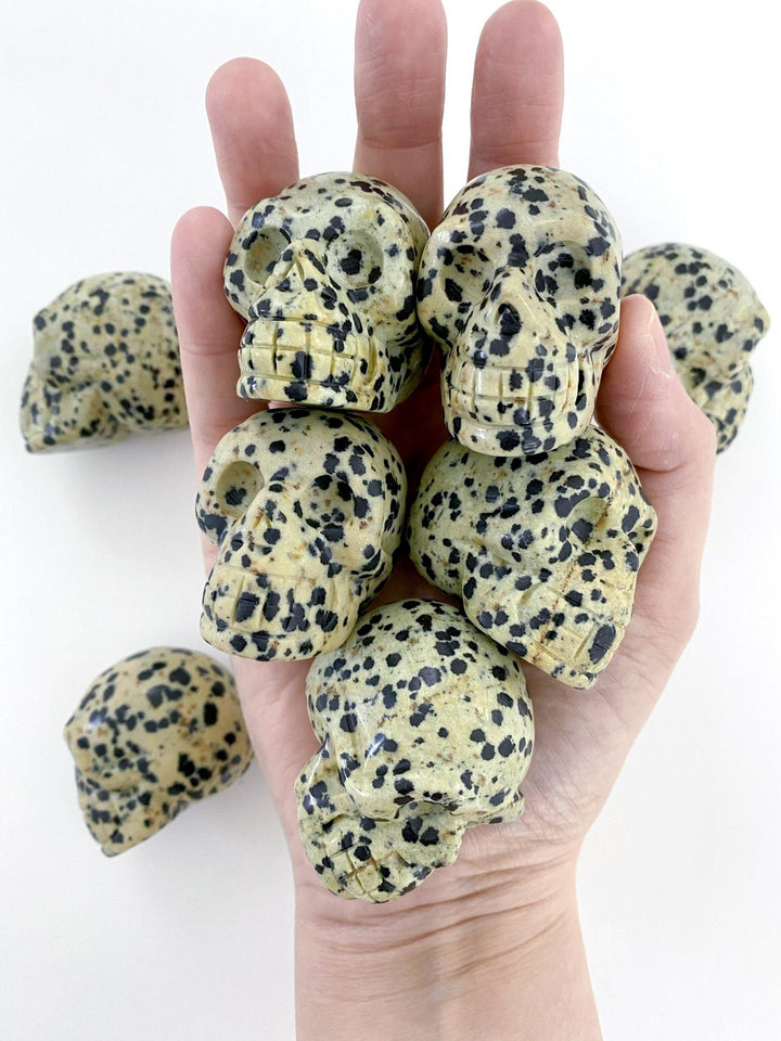 Dalmatian Jasper Carved Skulls - Uncommon Rocks
