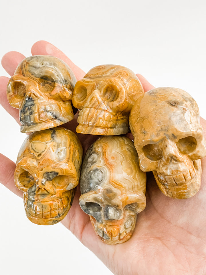 Crazy Lace Agate Skulls
