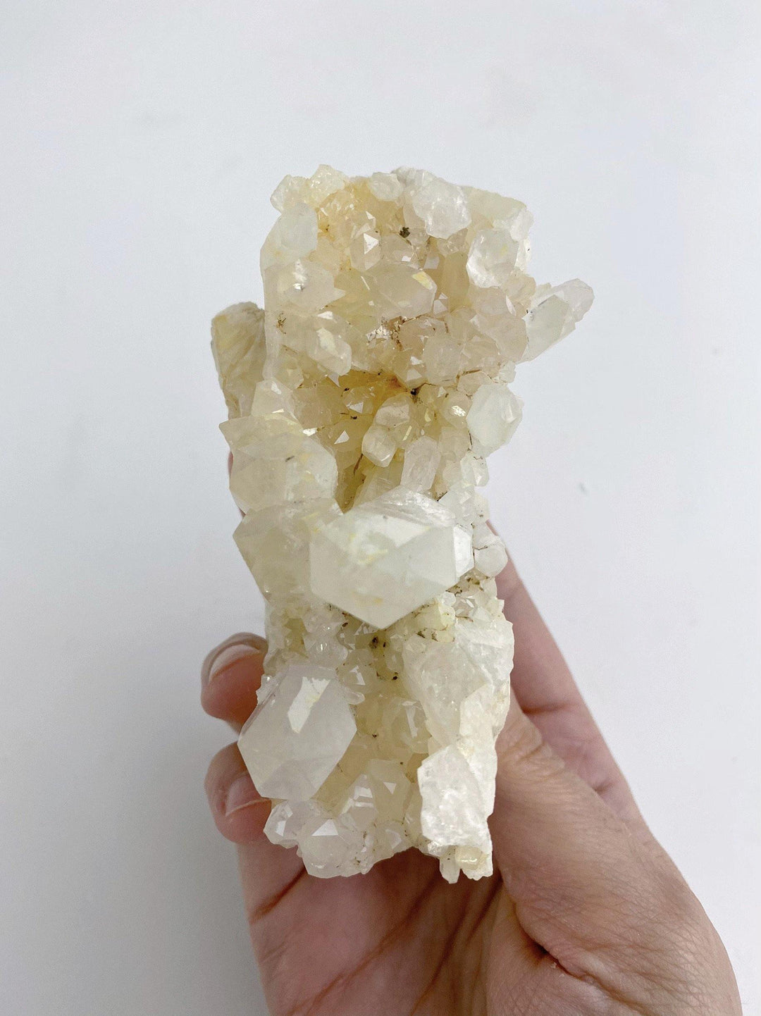 Clear Quartz Cluster - Uncommon Rocks