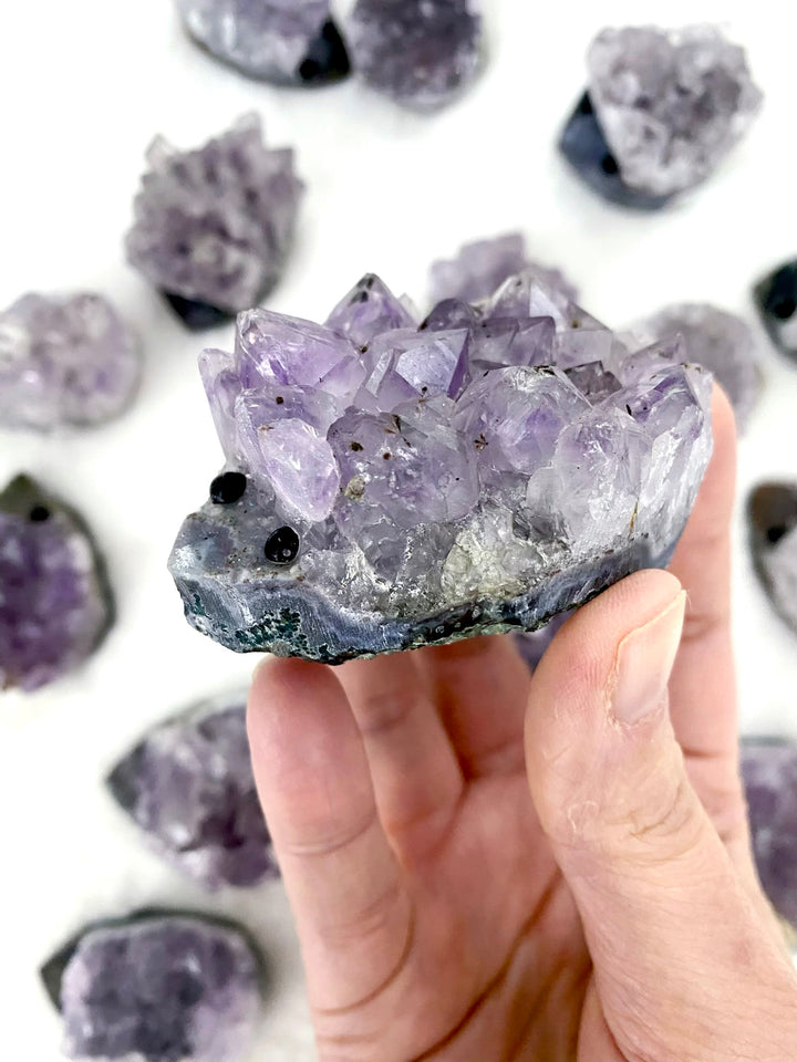 Hedge Hog Amethyst