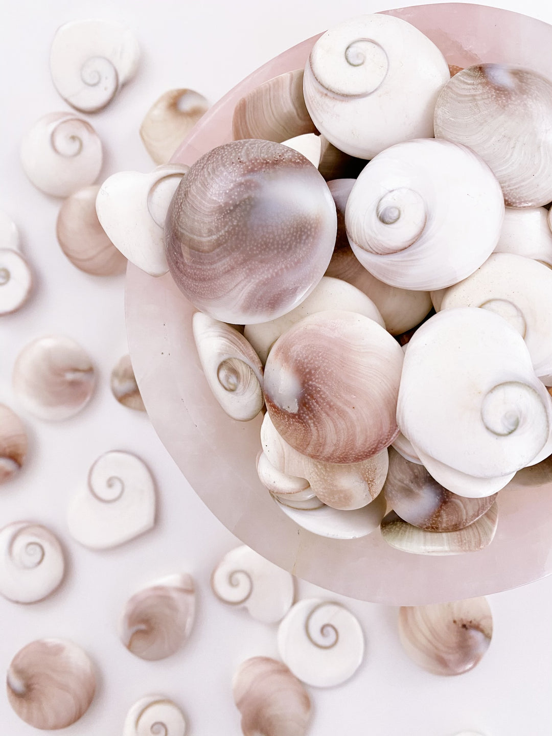 Shiva Shells