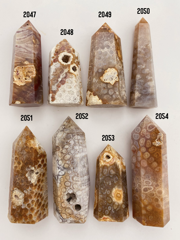 Coral Fossil Towers - Uncommon Rocks
