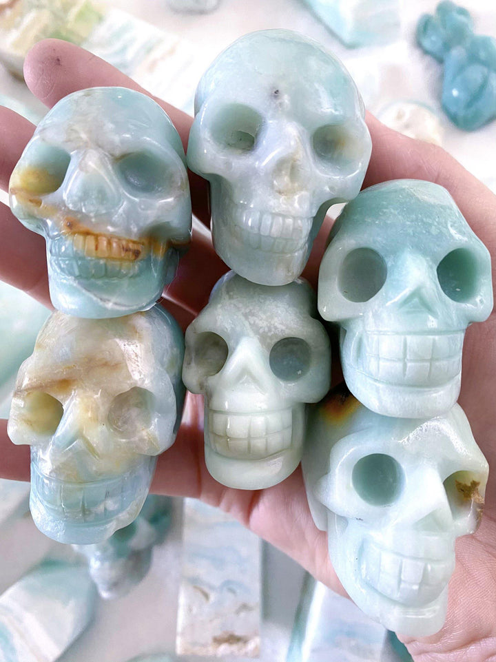 Caribbean Calcite Skulls - Uncommon Rocks