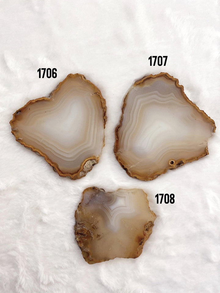 Agate Slab - Uncommon Rocks