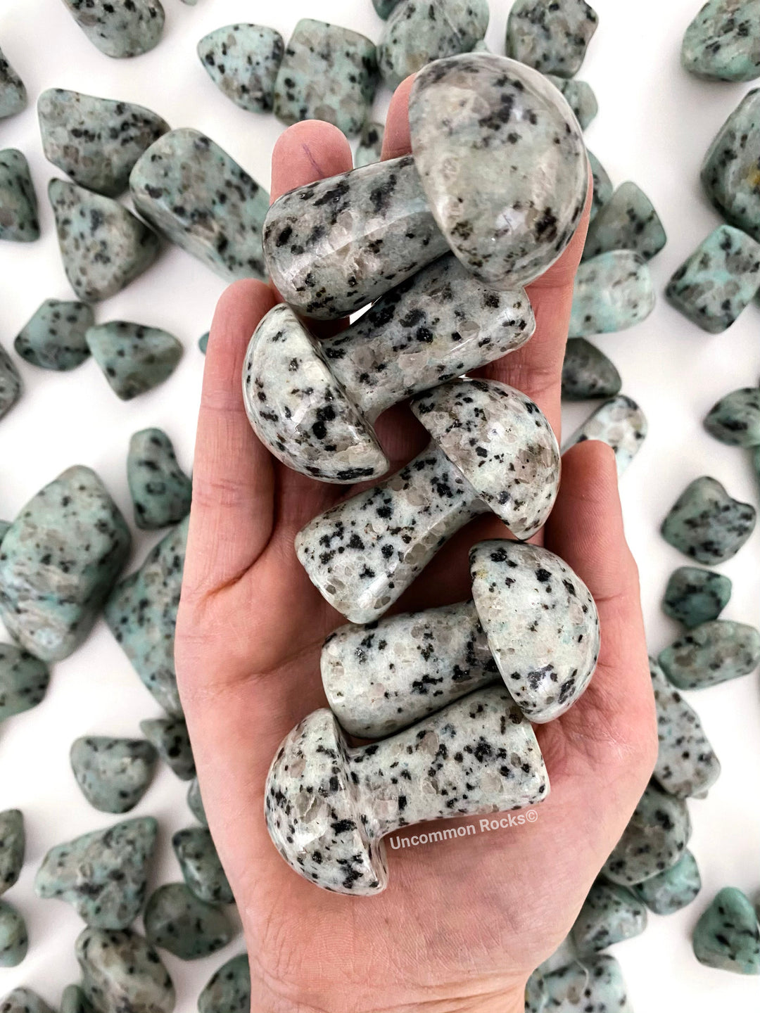 Kiwi Jasper Mushrooms