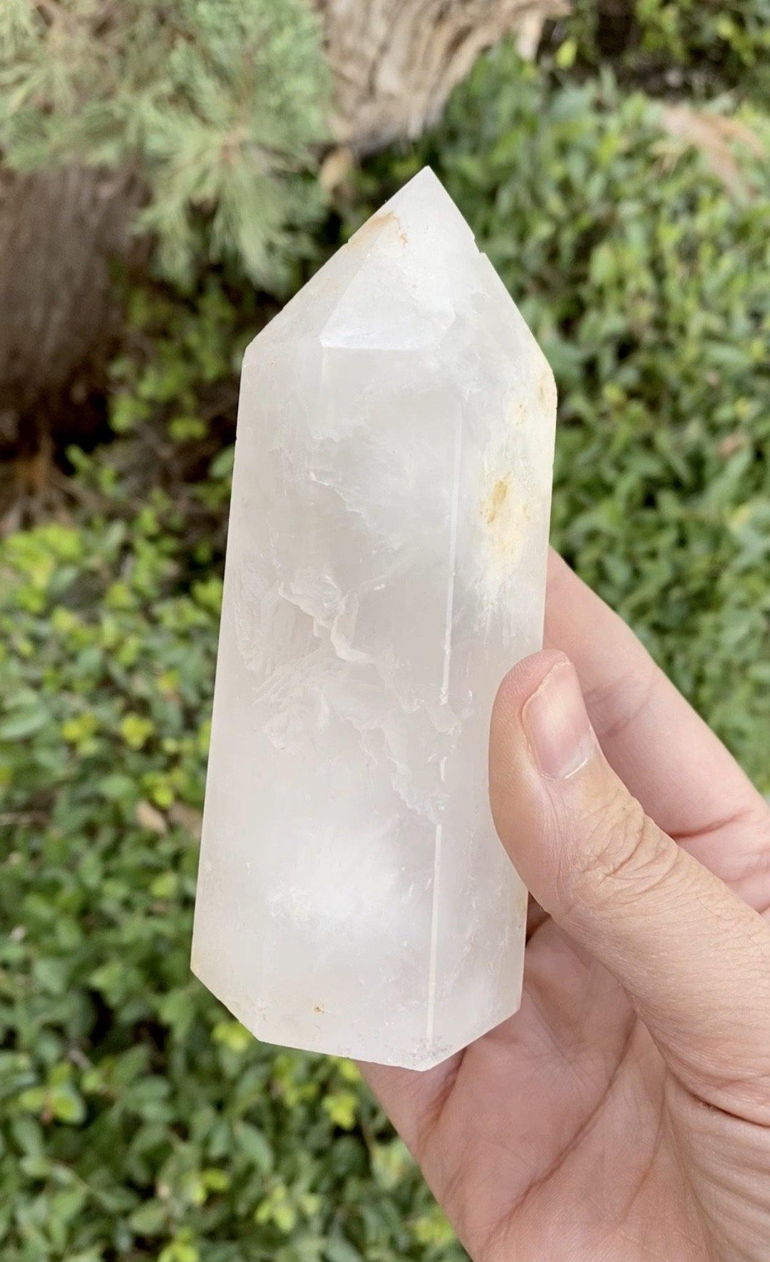 Clear Quartz with Druzy - Uncommon Rocks