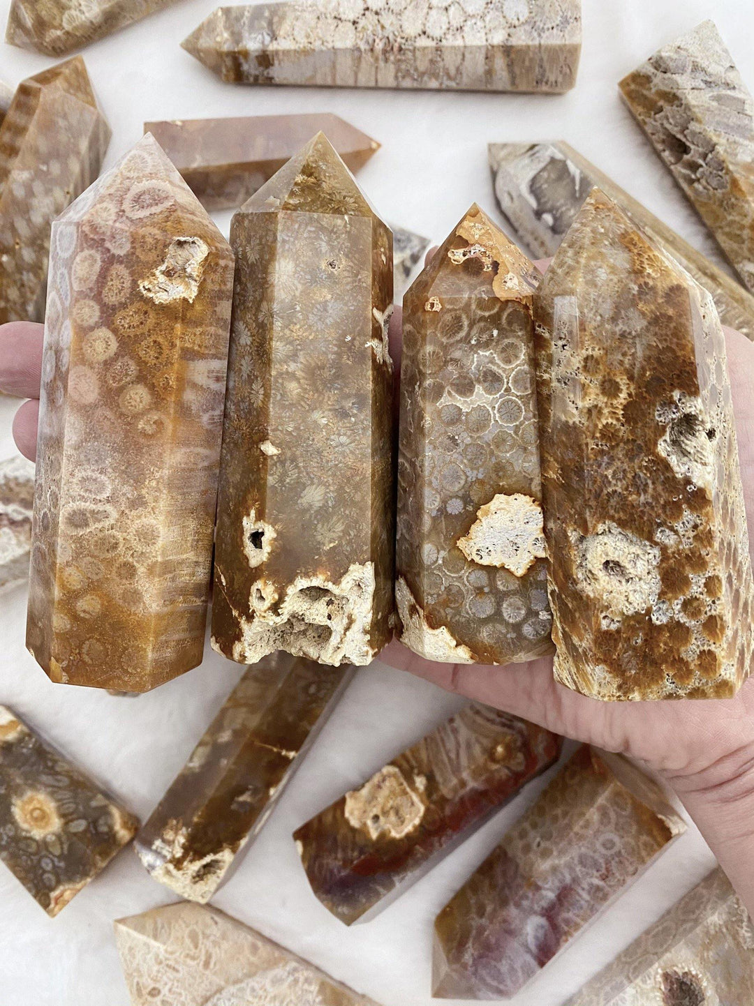 Coral Fossil Towers - Uncommon Rocks
