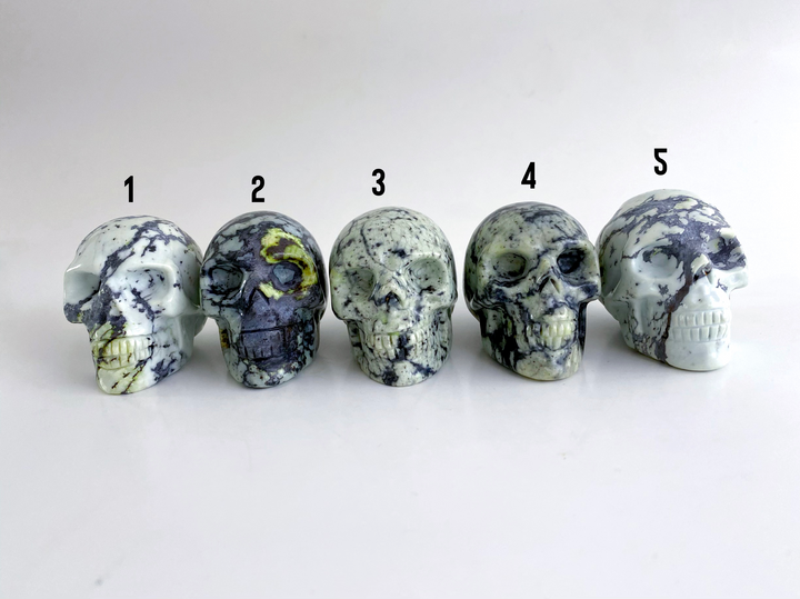 unknown name Skulls - Uncommon Rocks