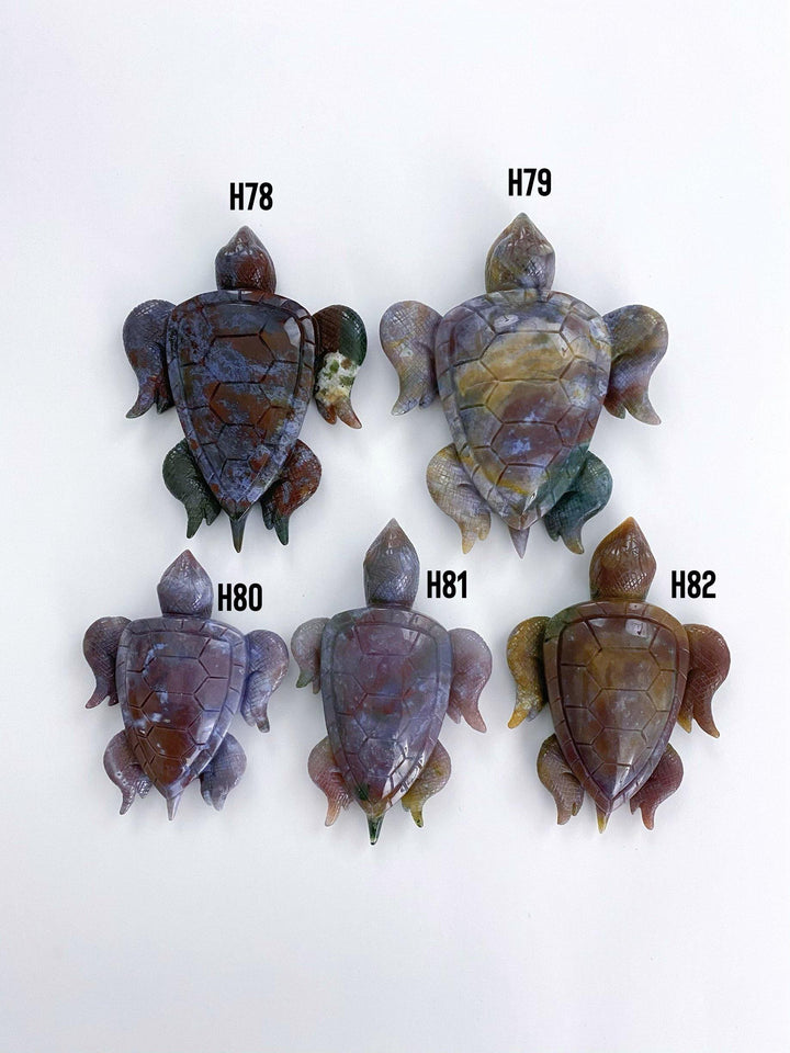 Ocean Jasper Tortoise - Uncommon Rocks