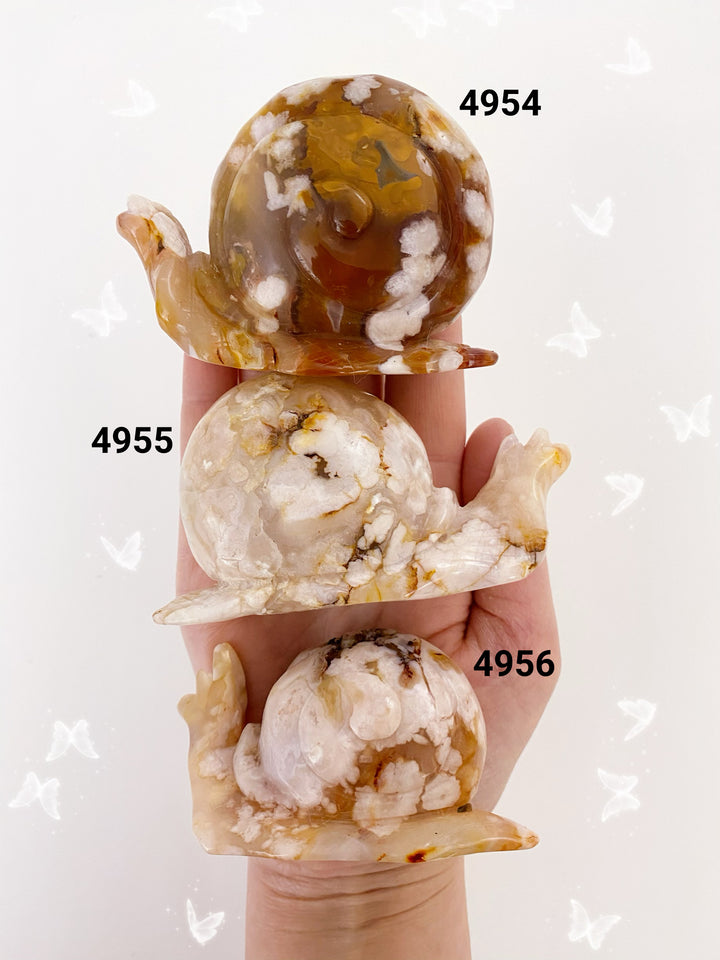 Flower Agate Snails