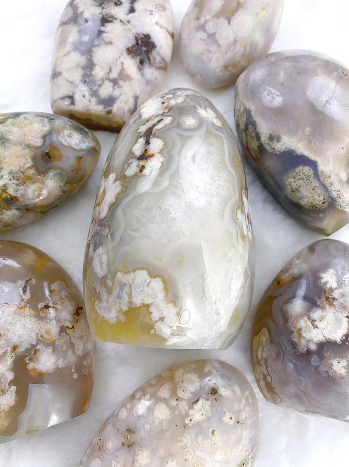 Flower Agate Free Form - Uncommon Rocks