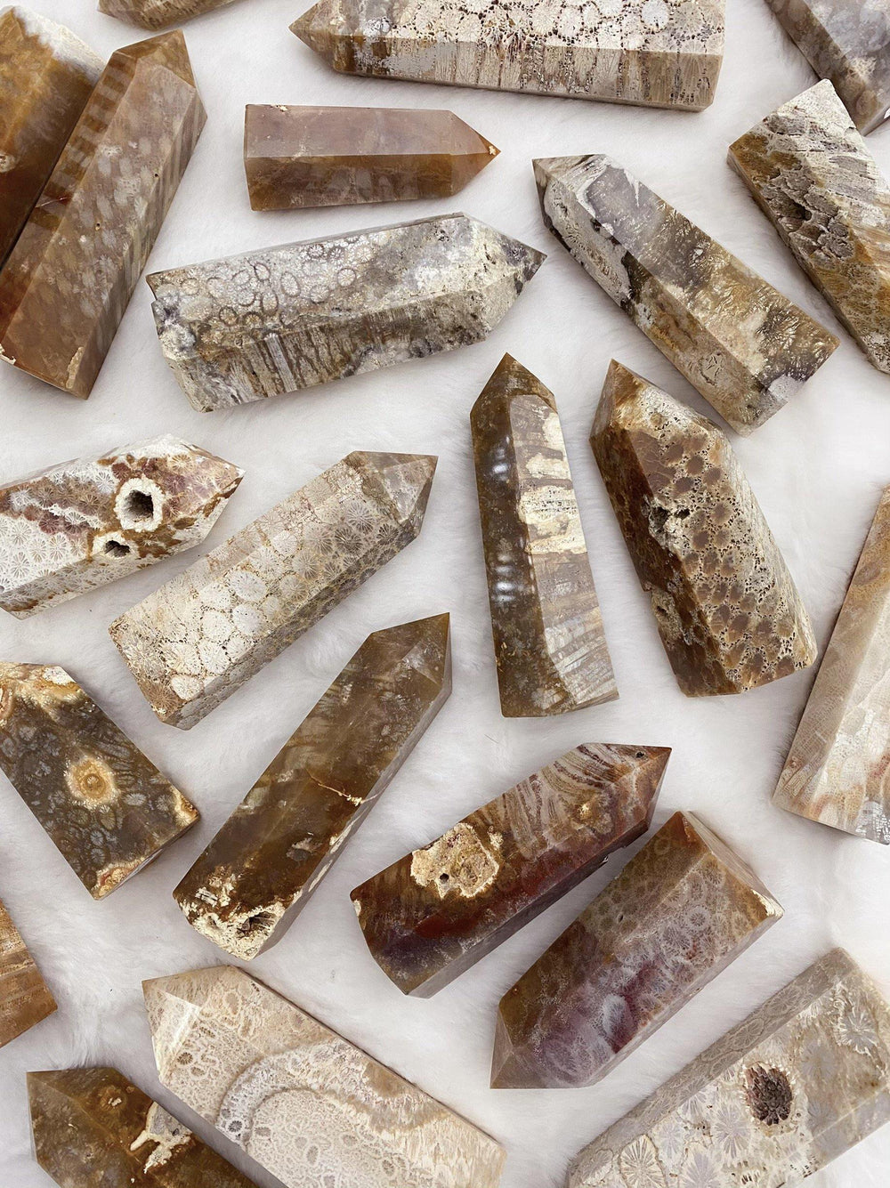 Coral Fossil Towers - Uncommon Rocks