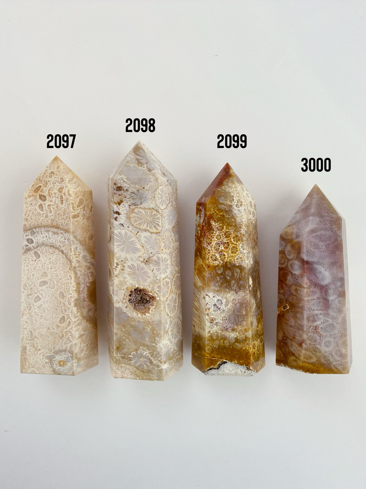 Coral Fossil Towers - Uncommon Rocks