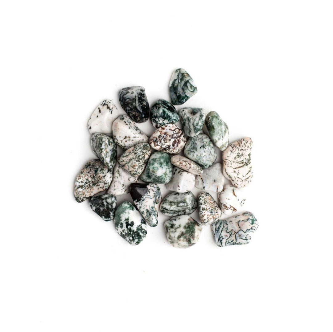 Tree Agate Tumbled Stone