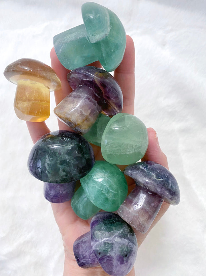 Fluorite Mushrooms