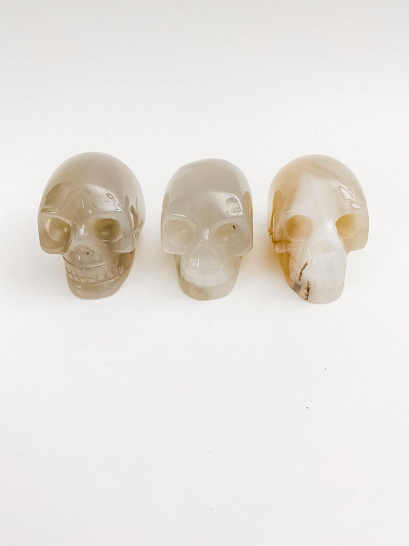 Agate Skulls - Uncommon Rocks