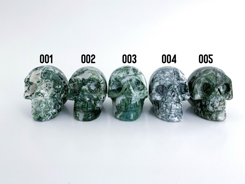 Tree Agate Carved Skulls - Uncommon Rocks