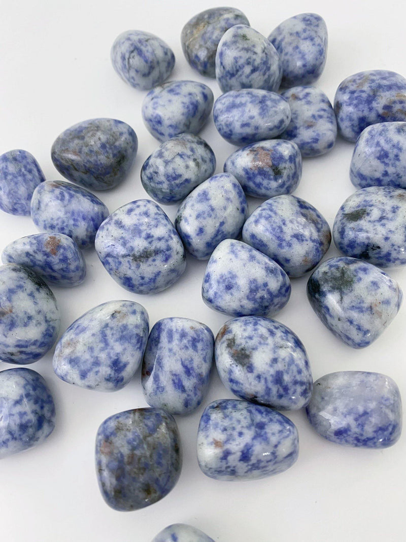 Blue Spot Jasper Tumbled - Uncommon Rocks