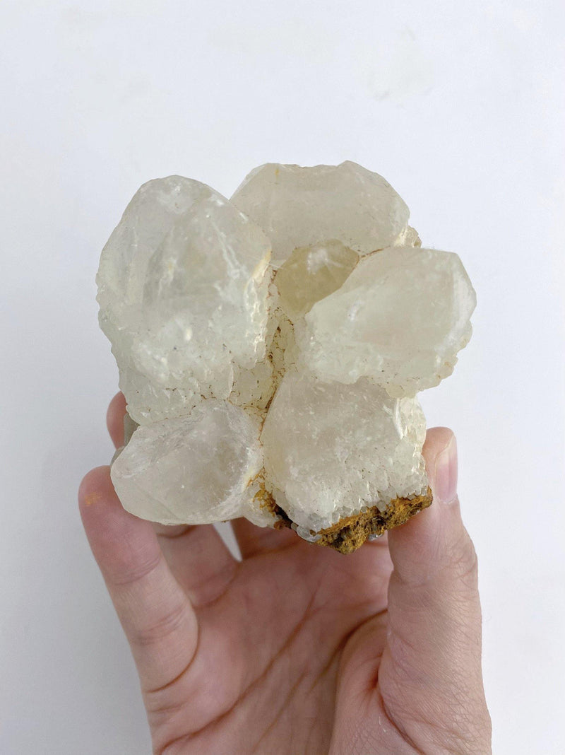 Clear Quartz Cluster - Uncommon Rocks