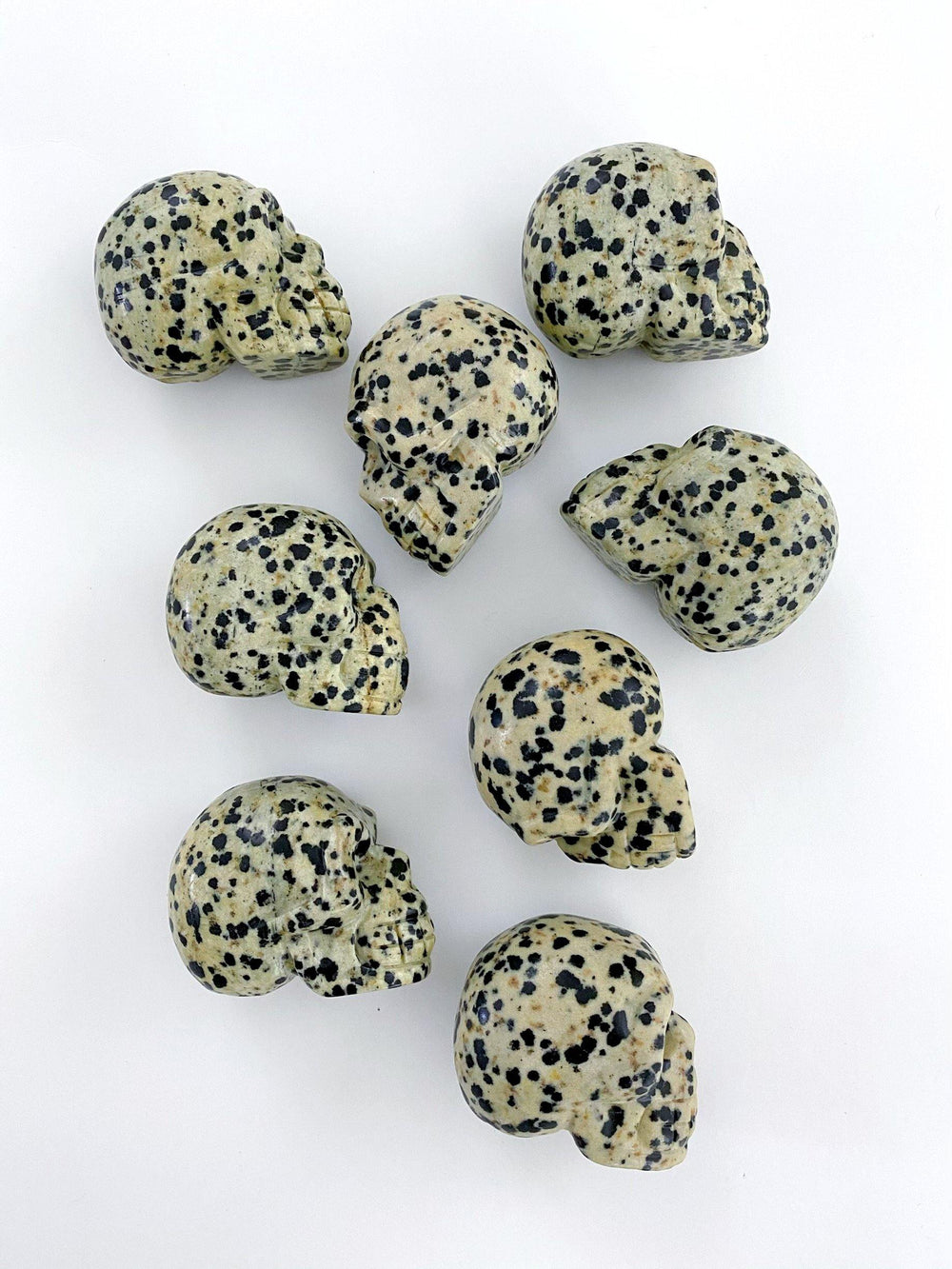 Dalmatian Jasper Carved Skulls - Uncommon Rocks