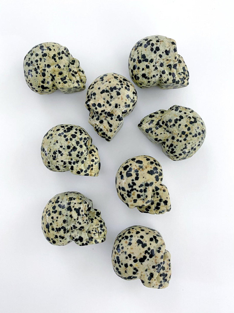 Dalmatian Jasper Carved Skulls - Uncommon Rocks