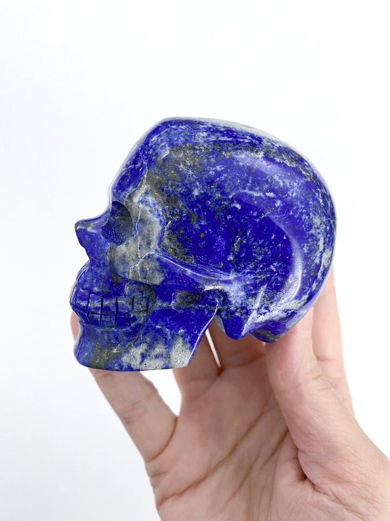 Lapis lazuli Skull Carving - Uncommon Rocks