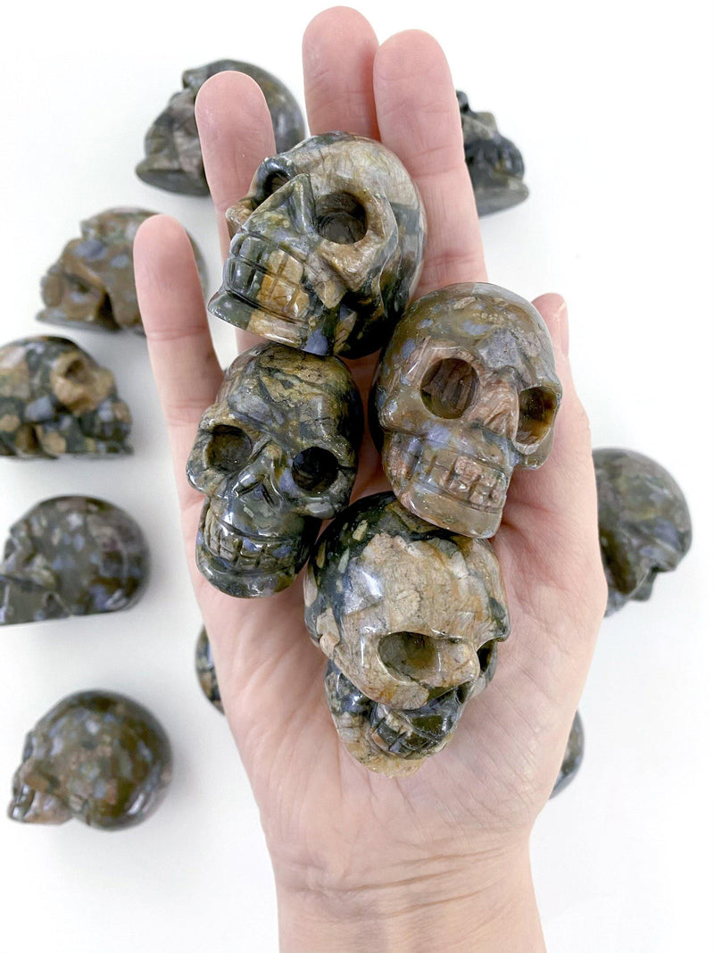 Que Sera Carved Skulls - Uncommon Rocks