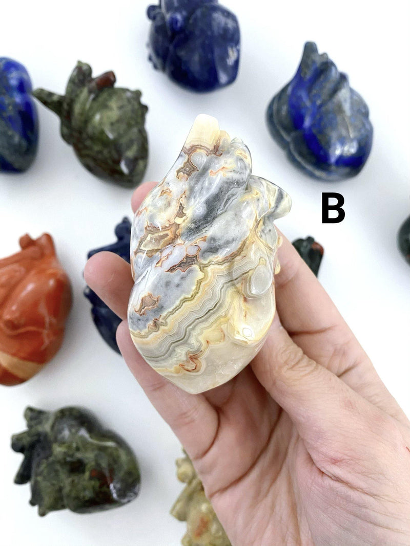 Crazy Lace Agate Anatomical Heart - Uncommon Rocks
