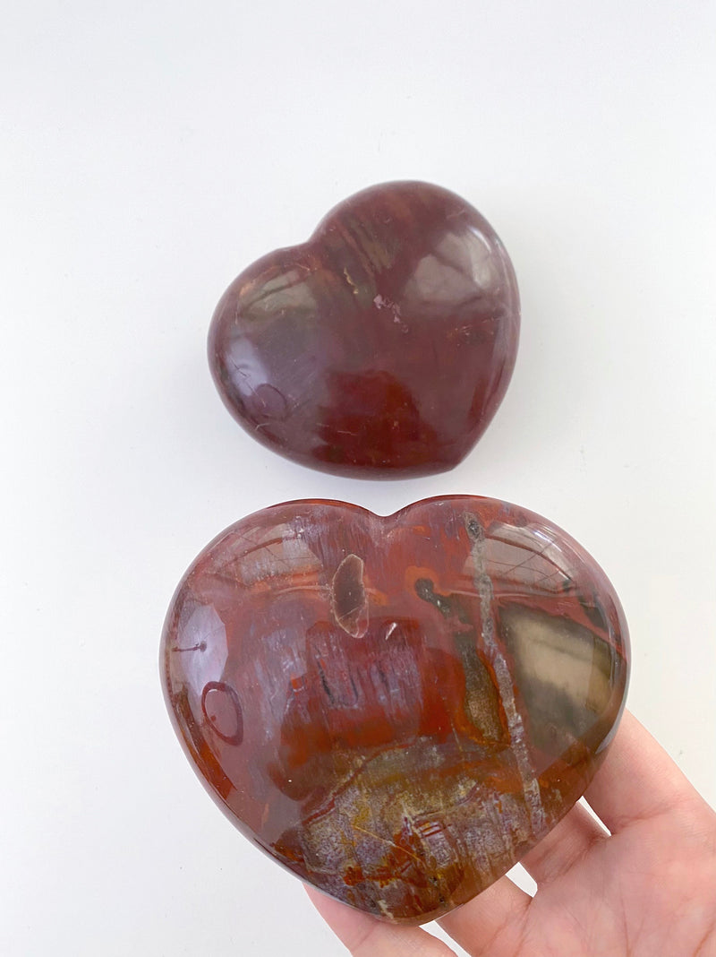 Petrified Wood Heart